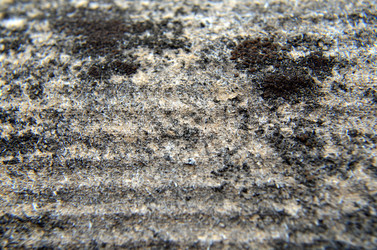 Similar image 6303253