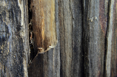 Similar image 6303254