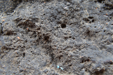 Similar image 6303255