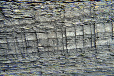 Similar image 6303256