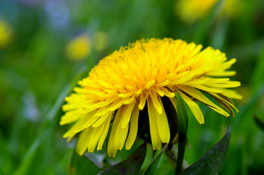 Similar image 6303259