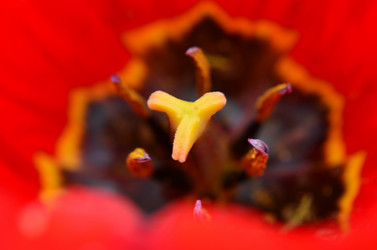 Similar image 6303261