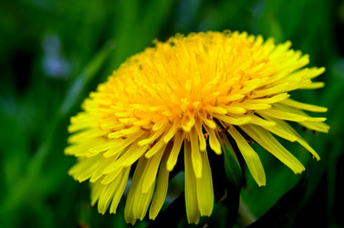 Similar image 6303262