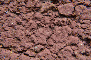 Similar image 6303265