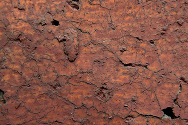 Similar image 6303266