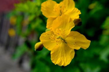 Similar image 6303267