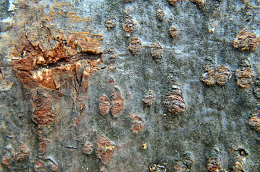 Similar image 6303274