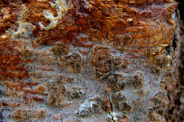 Similar image 6303277