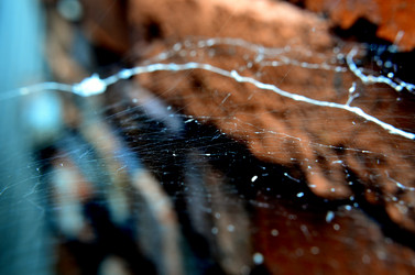 Similar image 6303279