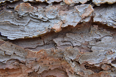 Similar image 6303280