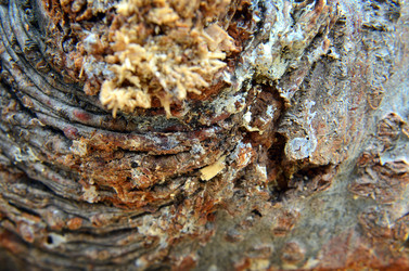 Similar image 6303281