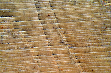 Similar image 6303284