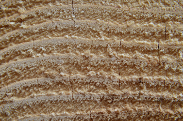 Similar image 6303285