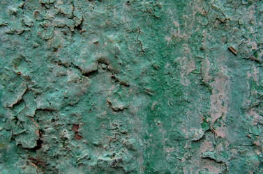 Similar image 6303287