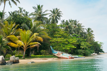 Similar image 6303317