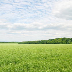 Similar image 6303318