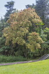 Similar image 6303391