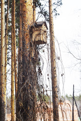 Similar image 6303397