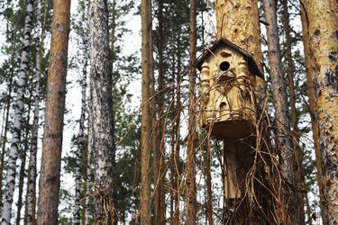 Similar image 6303398