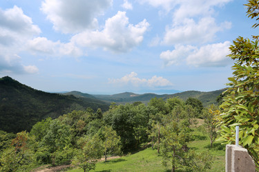 Similar image 6303502