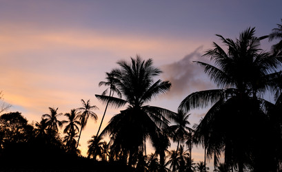 Similar image 6303506