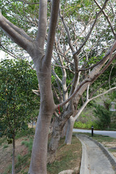 Similar image 6303508