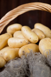 Similar image 6303527