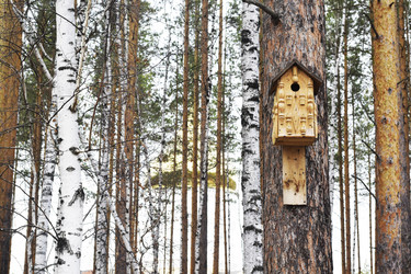 Similar image 6303551