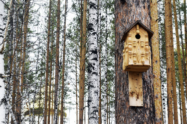 Similar image 6303552