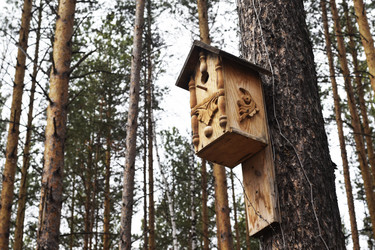 Similar image 6303562