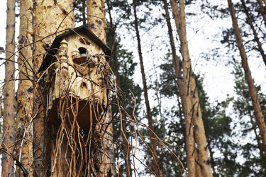 Similar image 6303563