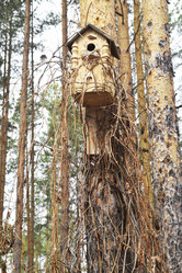 Similar image 6303564