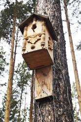 Similar image 6303565