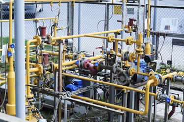 Similar image 6303587