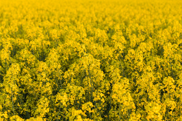 Similar image 6303638