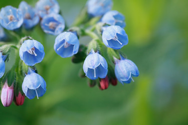 Similar image 6303673