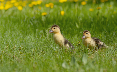 Similar image 6303685