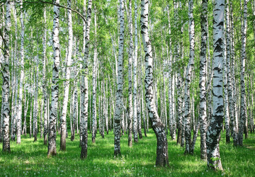 Similar image 6303692