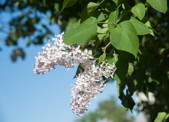 Similar image 6303700