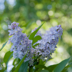 Similar image 6303702