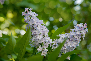 Similar image 6303703