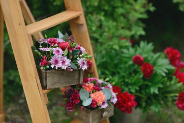 Similar image 6303706