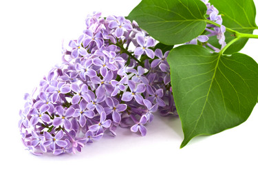 Similar image 6303724