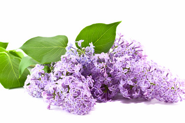 Similar image 6303729