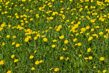 Similar image 6303731