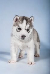 Similar image 6303765