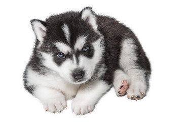 Similar image 6303766