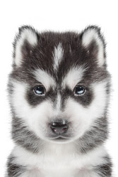 Similar image 6303768