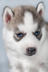 Similar image 6303770