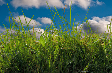 Similar image 6303823